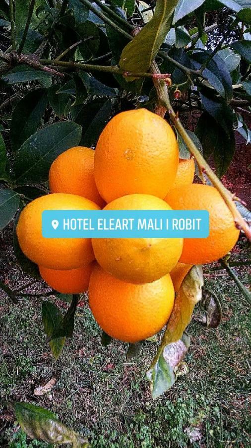 Eleart Aparthotel Golem  Εξωτερικό φωτογραφία